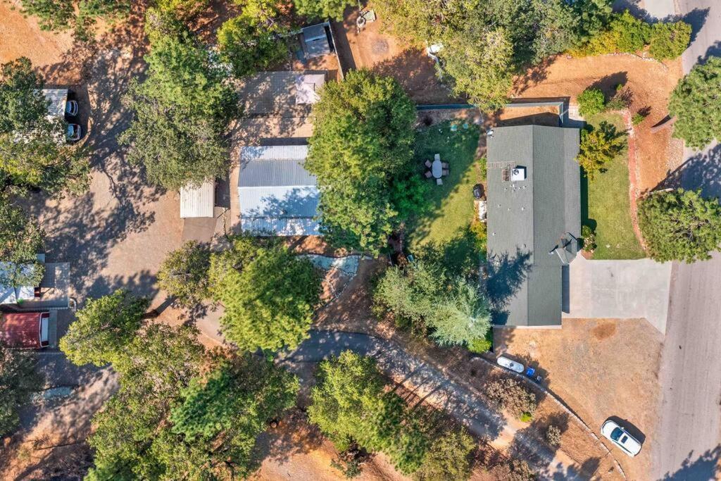 Acorn Cottage - Hidden Gem In Green Heaven, Getaway To Bass Lake & Yosemite 奥克赫斯特 外观 照片
