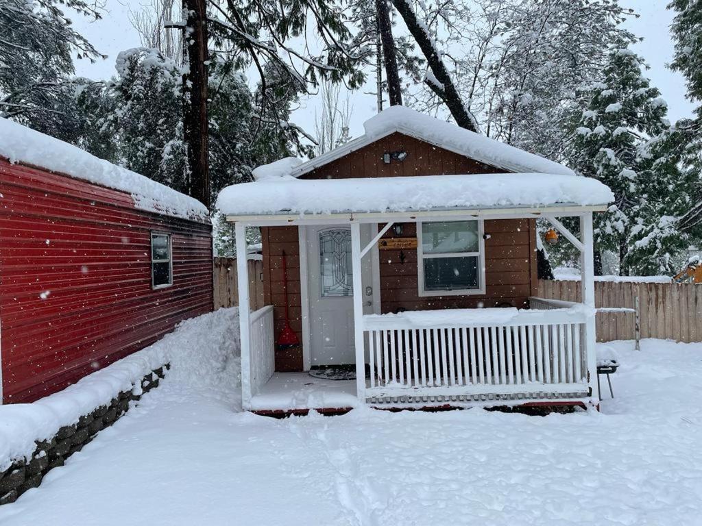 Acorn Cottage - Hidden Gem In Green Heaven, Getaway To Bass Lake & Yosemite 奥克赫斯特 外观 照片
